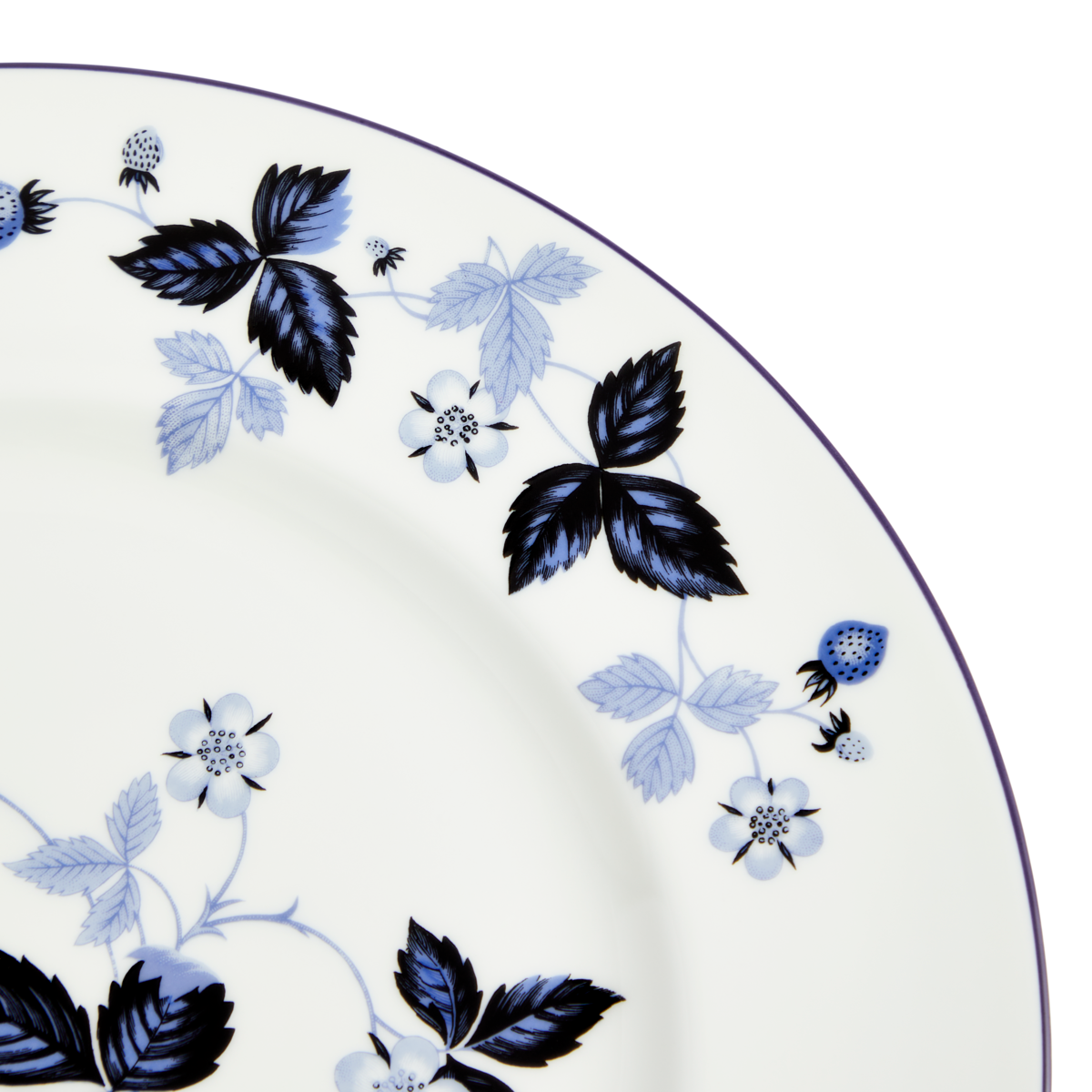 WEDGEWOOD Wild Strawberry プレート27cm 6枚 Amazon.co.jp: Wedgwood (ウェッジウッド) ワイルド・ストロベリー